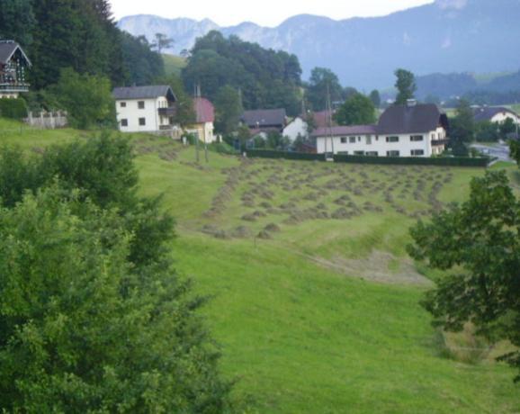 Bauernhof Bauernhof Kasleitner *