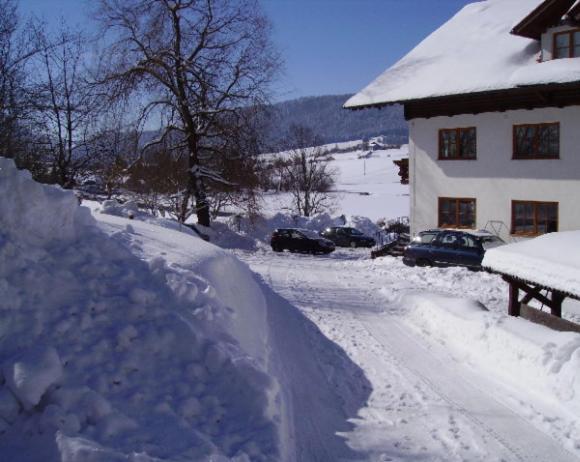 Bauernhof Bauernhof Kasleitner Zell am Moos
