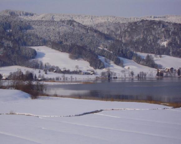 Bauernhof Bauernhof Kasleitner