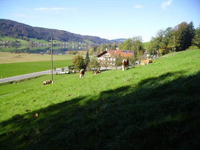Bauernhof Bauernhof Kasleitner Zell am Moos